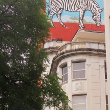 Building with Zebra